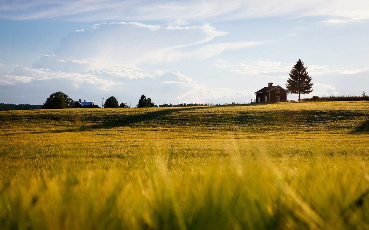 Making the Case for Community Wind Farms